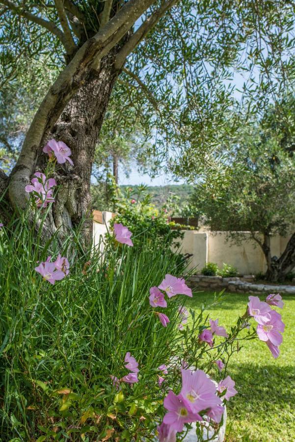 Corfu Villa Linea Línia Екстериор снимка