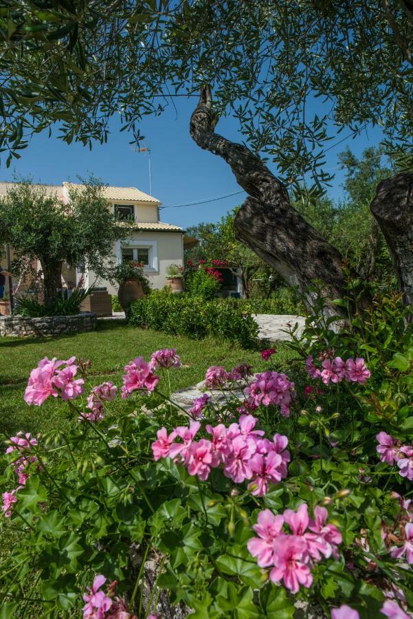 Corfu Villa Linea Línia Екстериор снимка