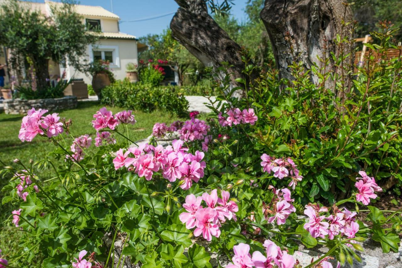 Corfu Villa Linea Línia Екстериор снимка