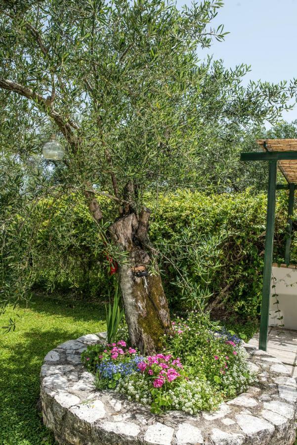 Corfu Villa Linea Línia Екстериор снимка